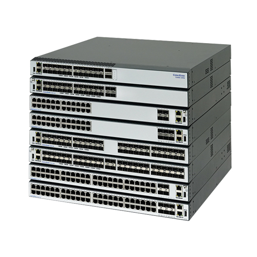 C3100